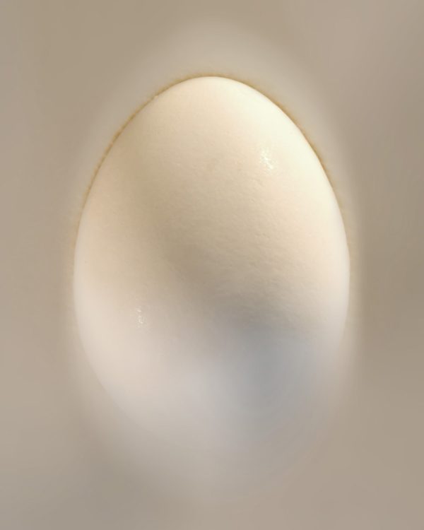 Anouk van Tetering | Litte miracle | 50 x 62.5cm | Edition 8