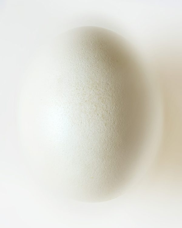 Anouk van Tetering | Litte miracle | 60 x 75 cm | Edition 8
