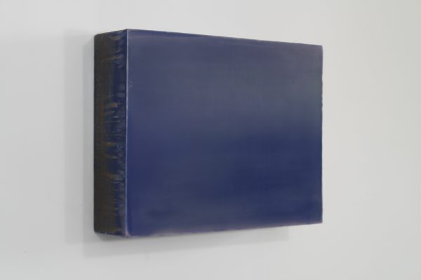 Ludo Hoes | Deniz | beewax on linn | 48x37x11,5 cm | - Afbeelding 4