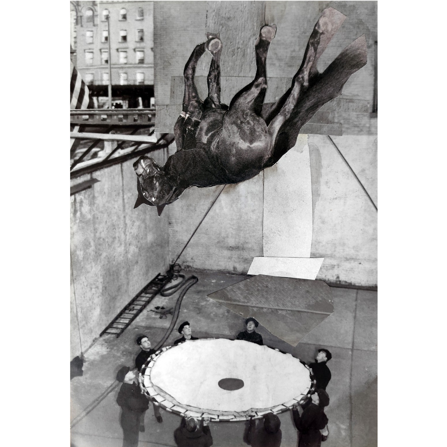 Jeroen Blok | Horse | collage | 27 x 18 cm