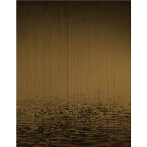 Sidney Waerts | Rain | Asian Inkt on cotton | 100 x 140 cm