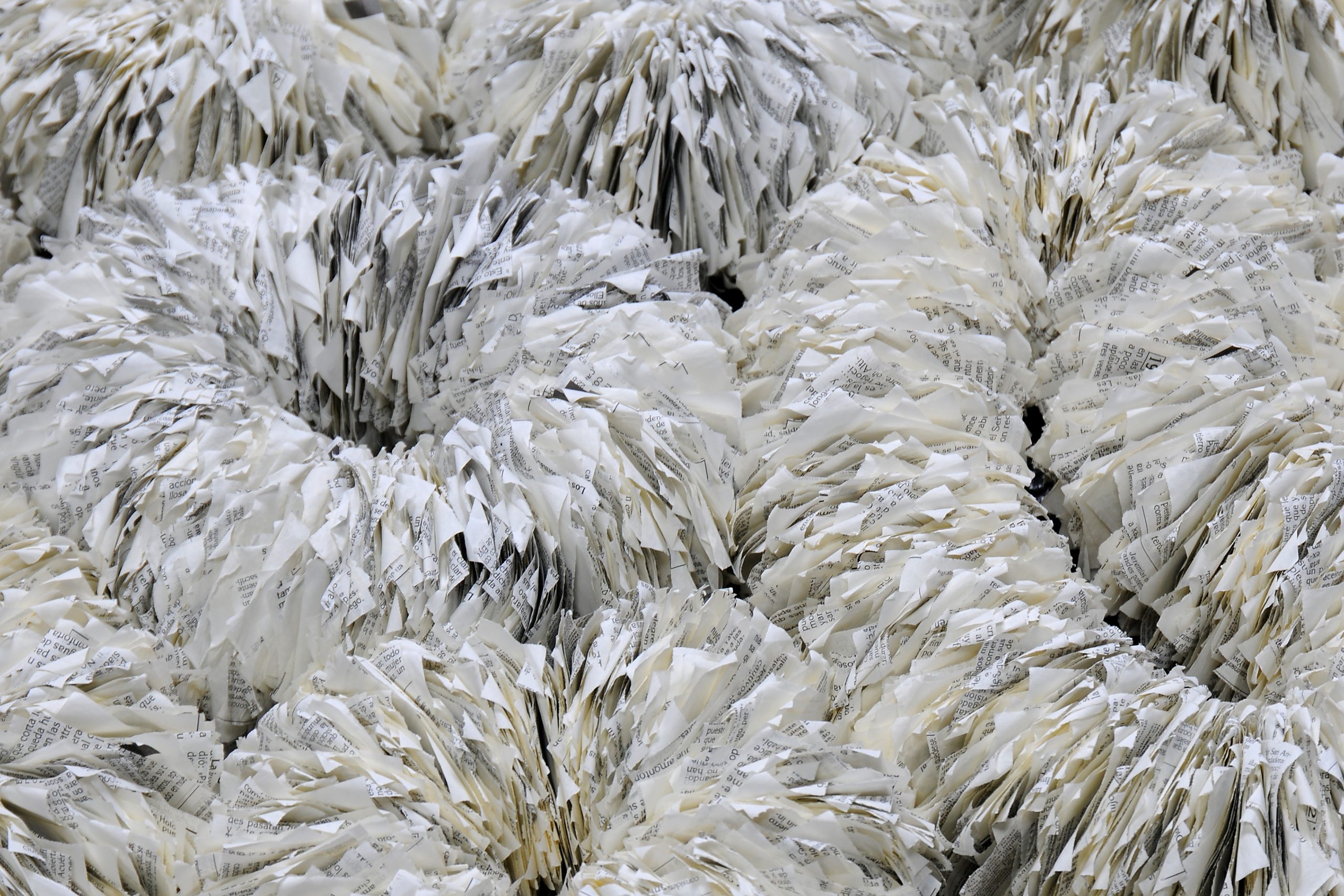 Annita Smit | Wasdom | 112 x 112 x 14 cm | Bewerkt bijbel papier - Image 4