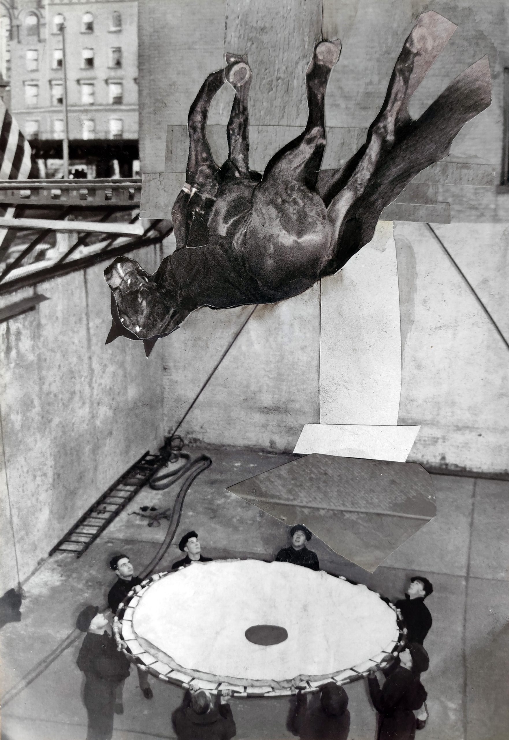 Jeroen Blok | Horse | collage | 27 x 18 cm - Afbeelding 2