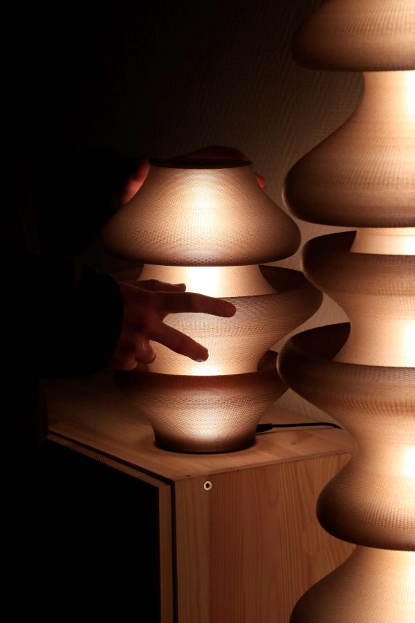 The Squish Totem lights |  by Emmanuel Hugnot - Afbeelding 2